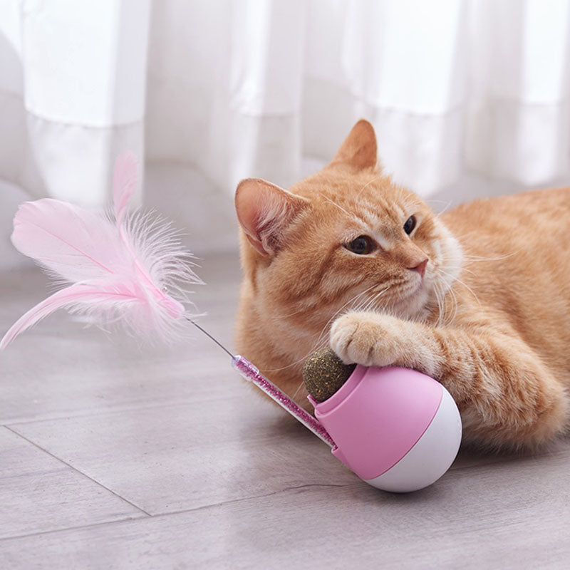 Brinquedo Sempre-em-Pé Interativo para Gato – Casa do Patudo