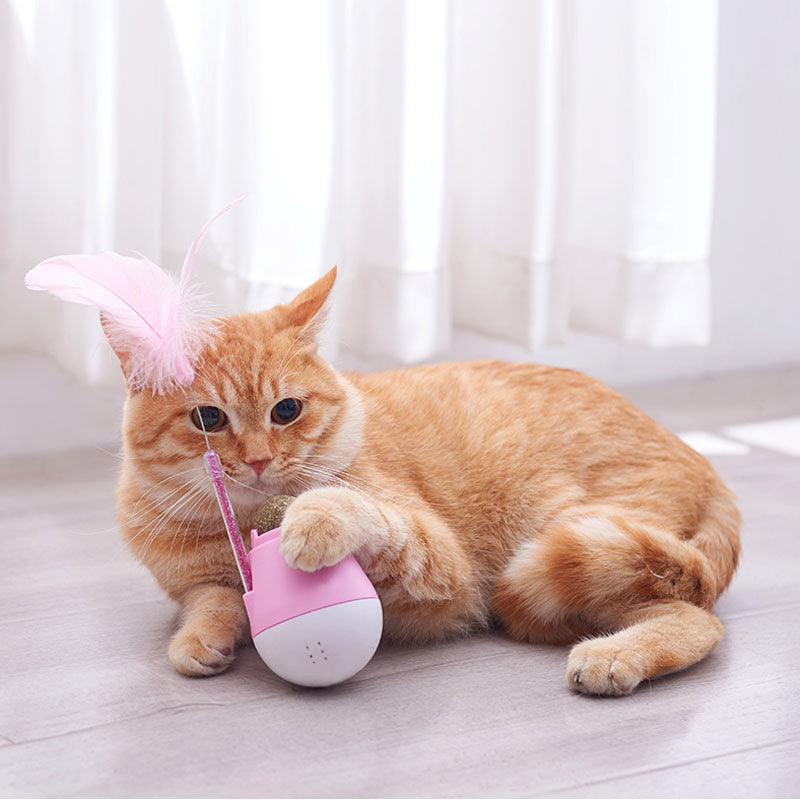 Brinquedo Sempre-em-Pé Interativo para Gato – Casa do Patudo