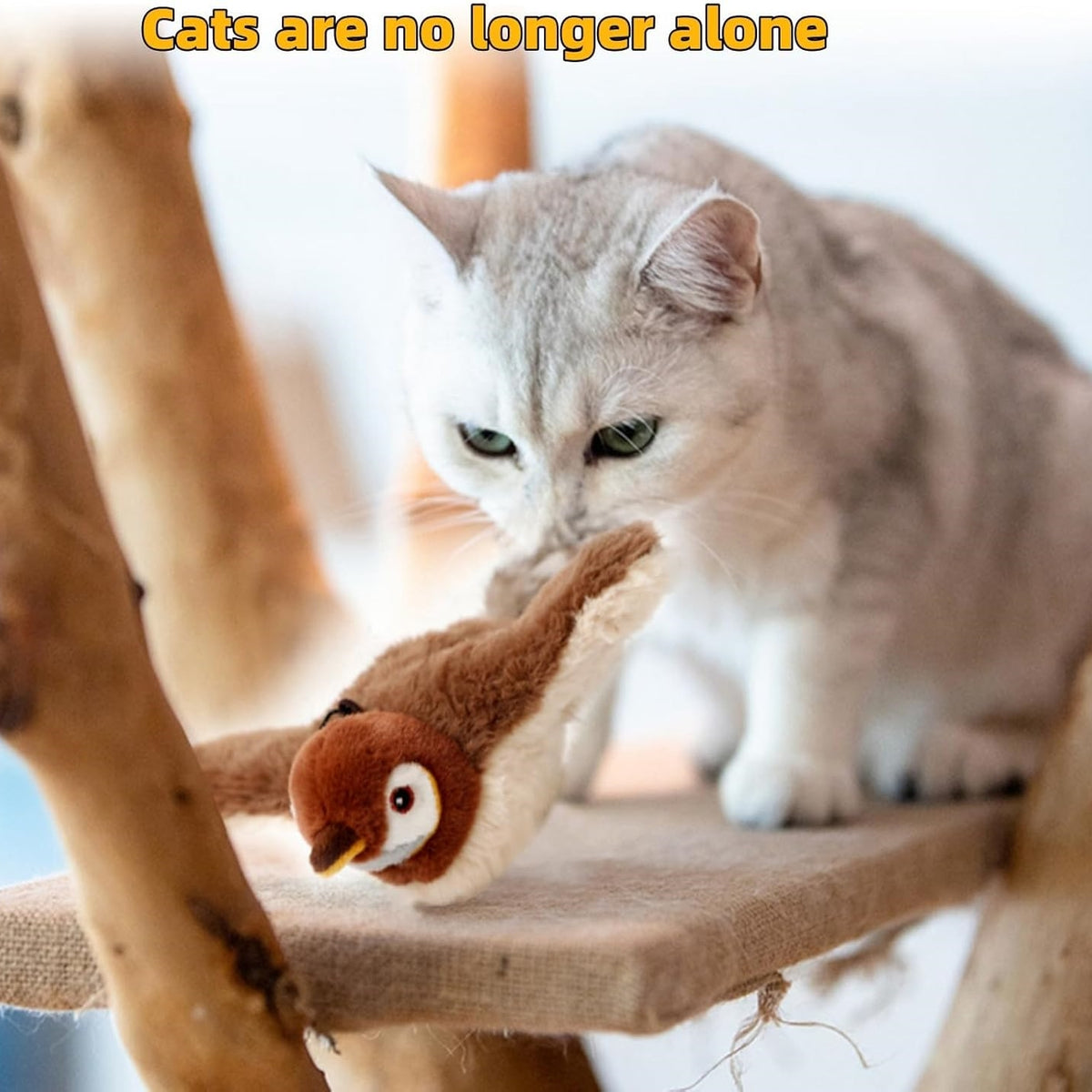 Pássaro Interativo para Gato – Casa do Patudo