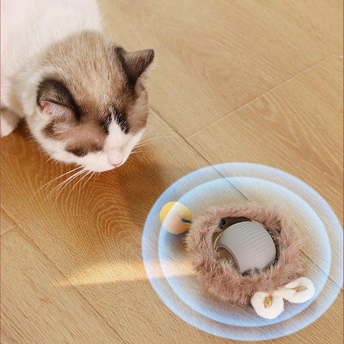 Bola Interativa Inteligente para Cão e Gato – Casa do Patudo