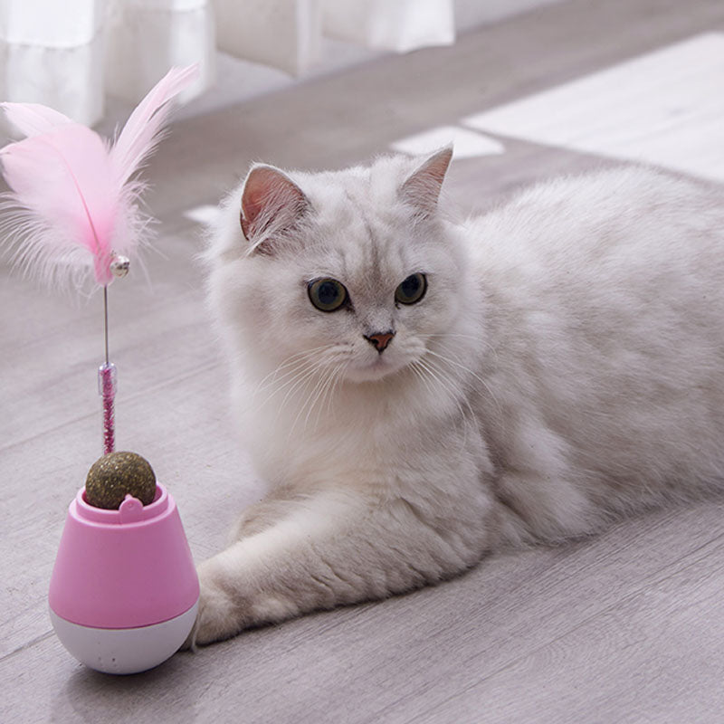 Brinquedo Sempre-em-Pé Interativo para Gato – Casa do Patudo